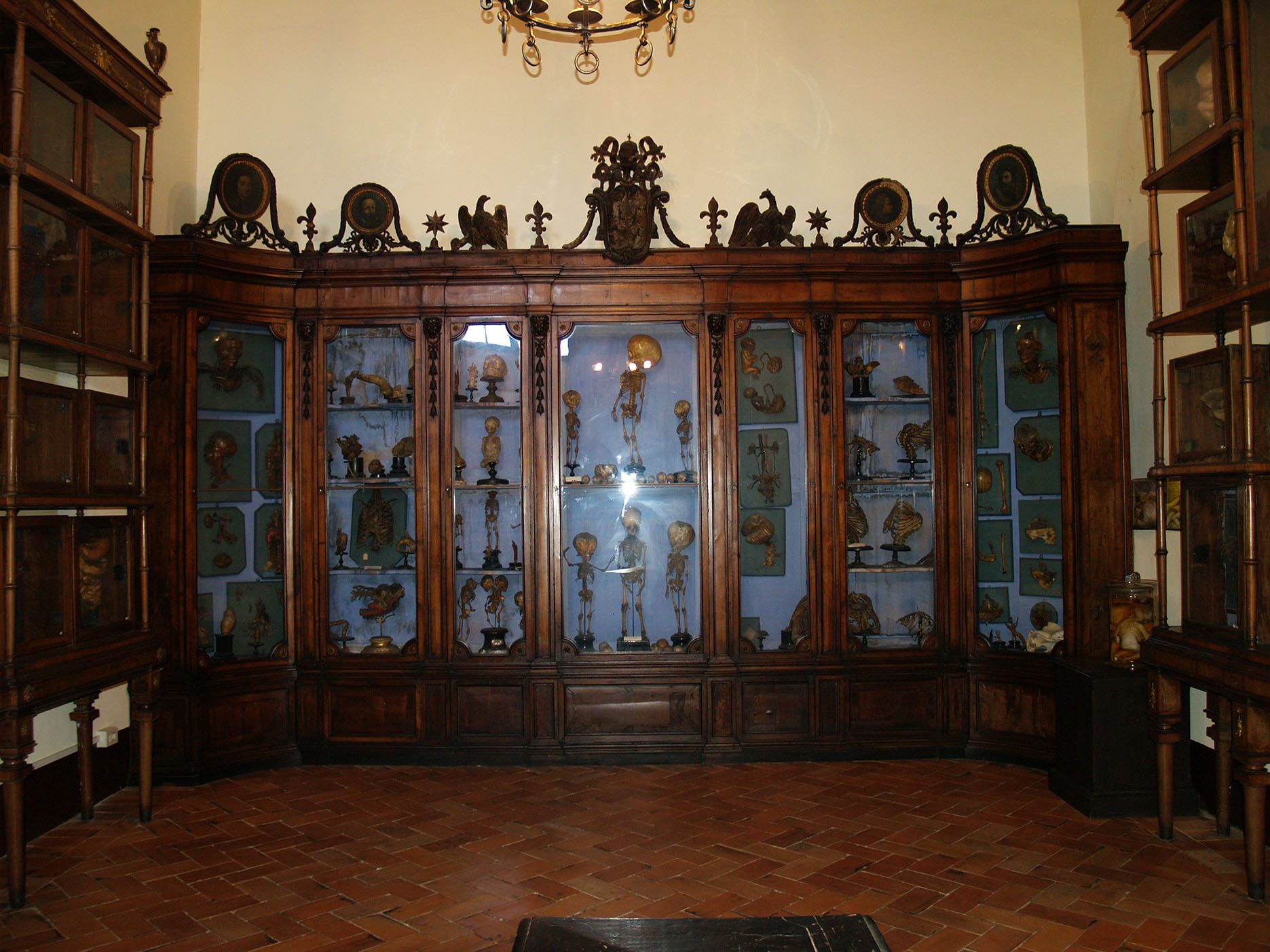 Museo%20Storico%20Nazionale%20dell%27Arte%20Sanitaria%2C%20Roma%20%284%29%281%29.jpg